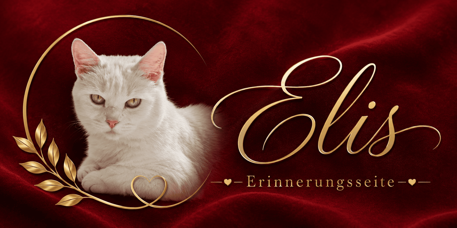 Weiße Katze auf rotem Samt mit goldenen Dekorationen und Schriftzug Elise.