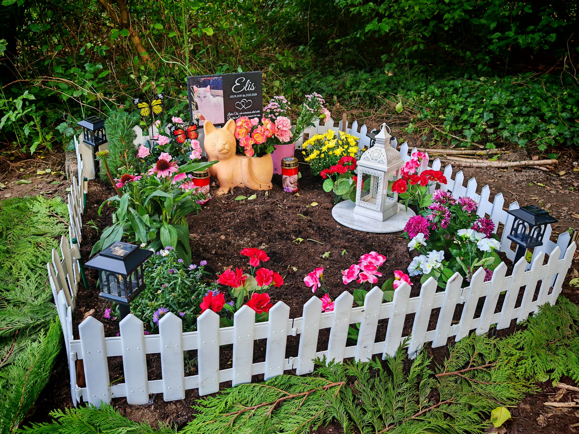 Elis' Grab auf dem Tierfriedhof Dresden: ein weiß umzäuntes Beet voller Blumen mit Gedenktafel, Katzenfigur, Grablichtern und Laterne.