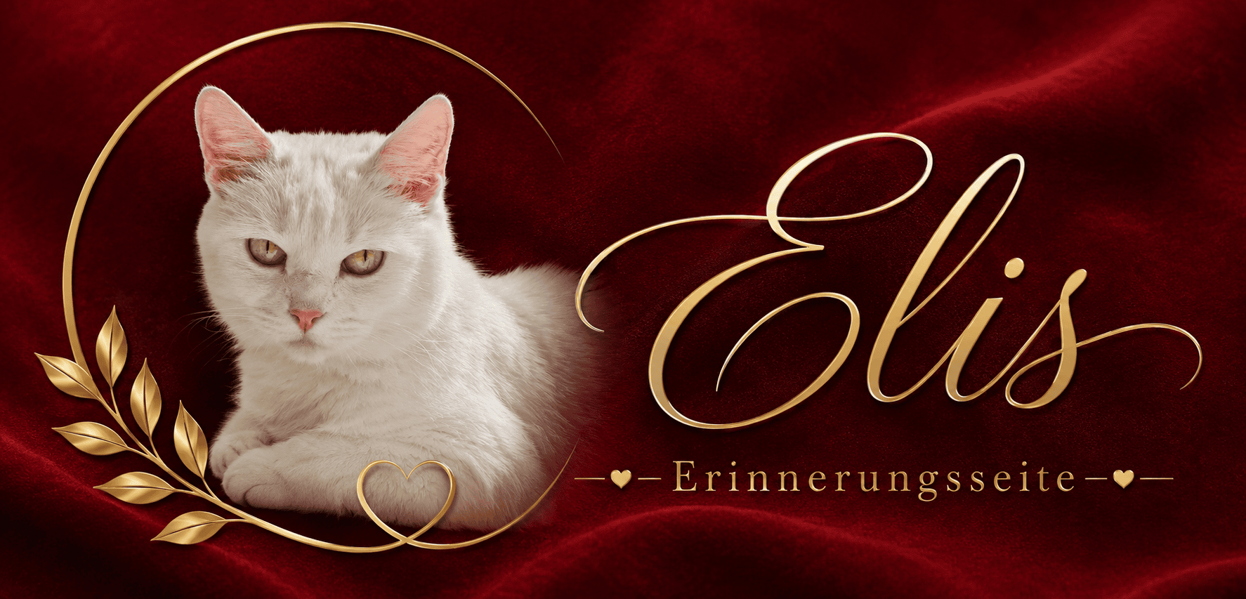 Alice Erinnerungsseite
